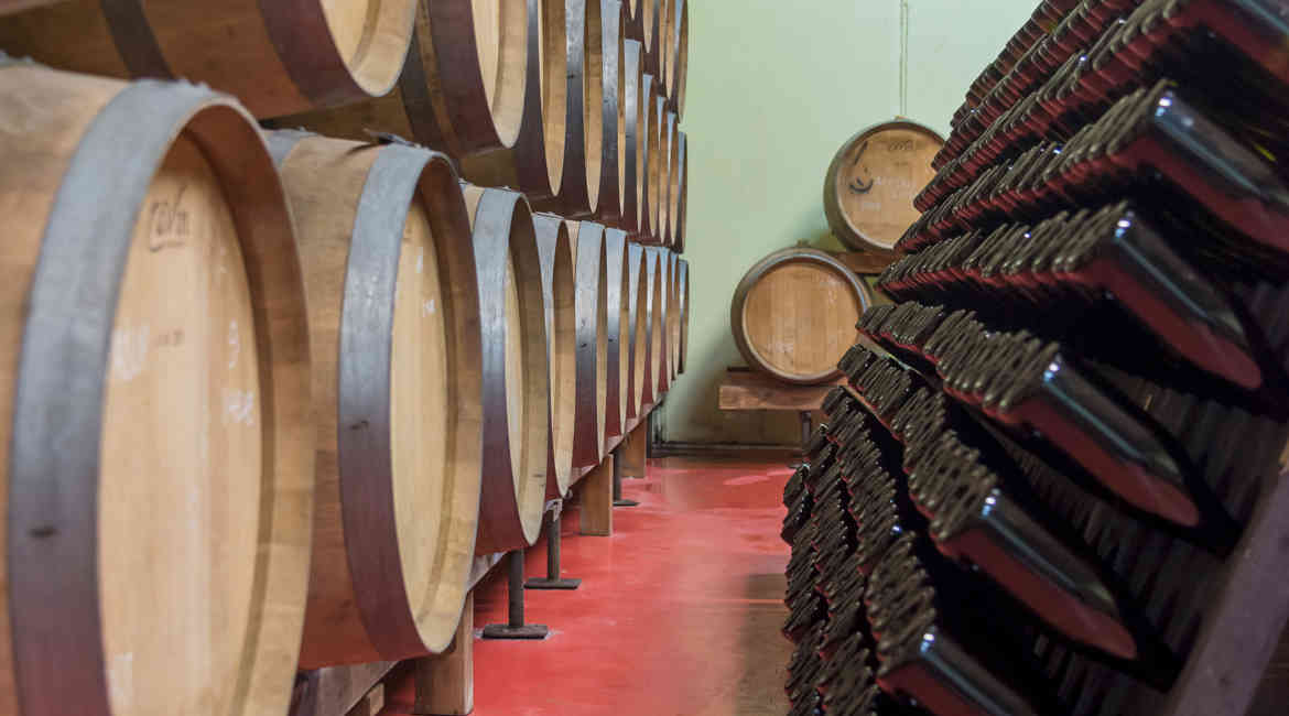 Fonte Avellana E Cantina Terracruda (2)