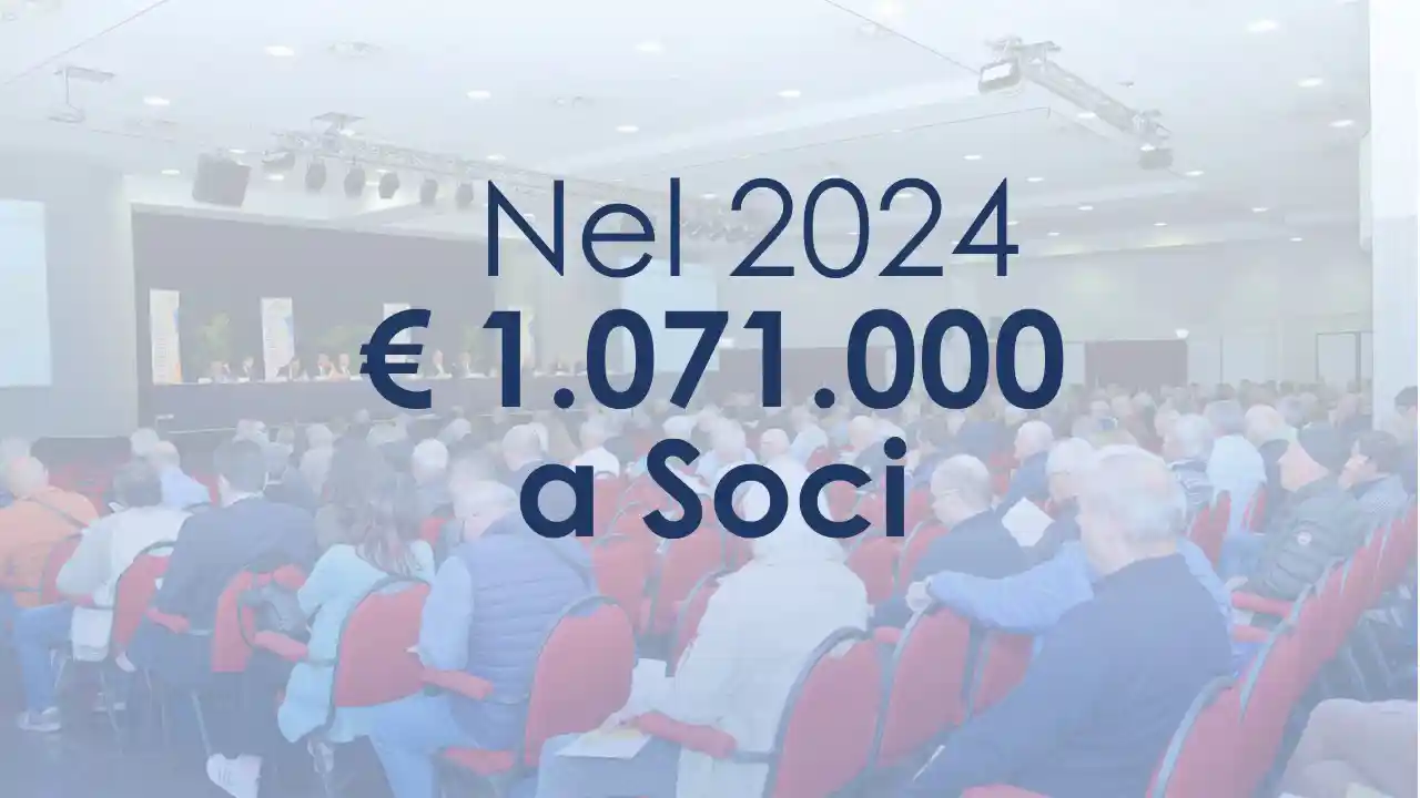 1071000 Ai Soci