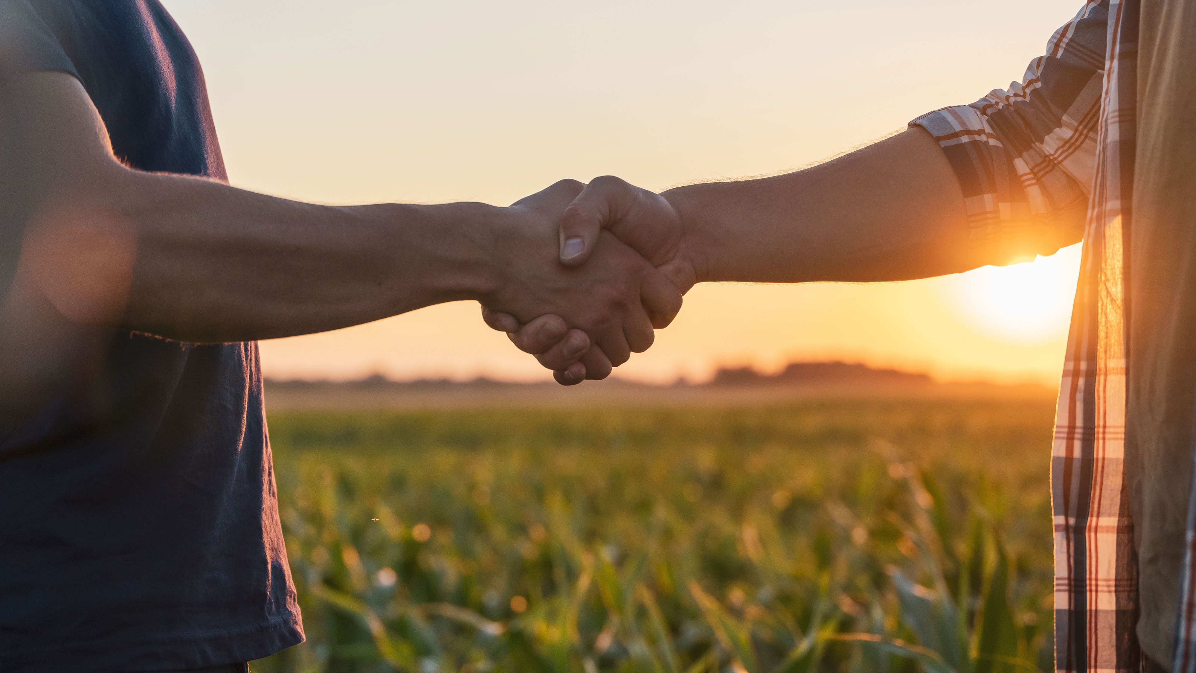 Collaborazioni Enti Locali